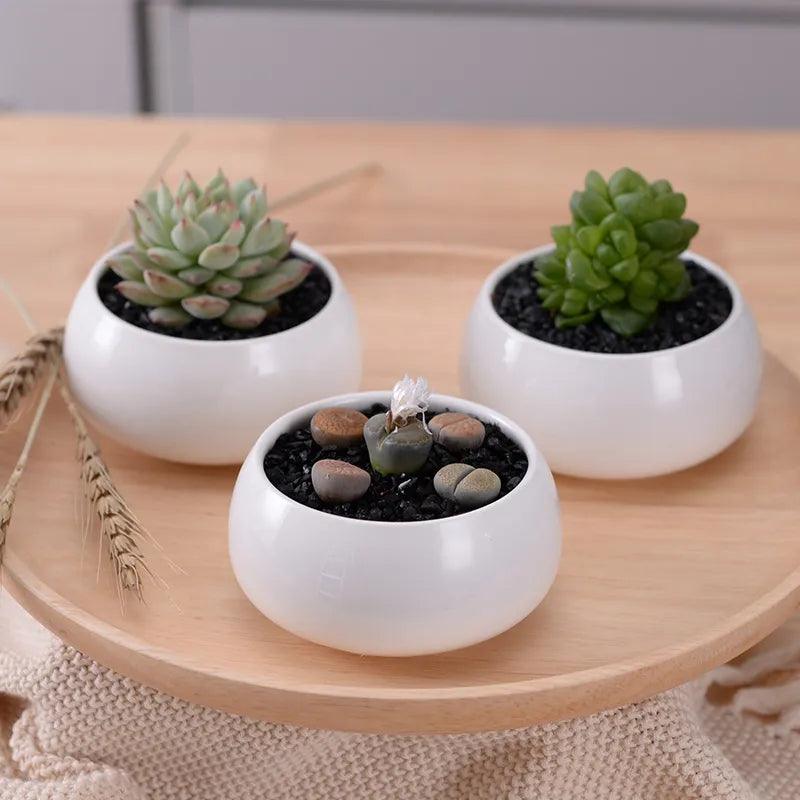 3 Pcs Succulent Pots with 3-Tier Bamboo Stand Holder - Bamboo.
