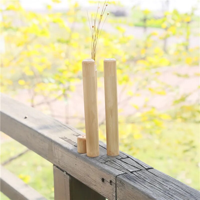 Brosse à dents en bambou arc-en-ciel naturel + tube de brosse à dents fait à la main