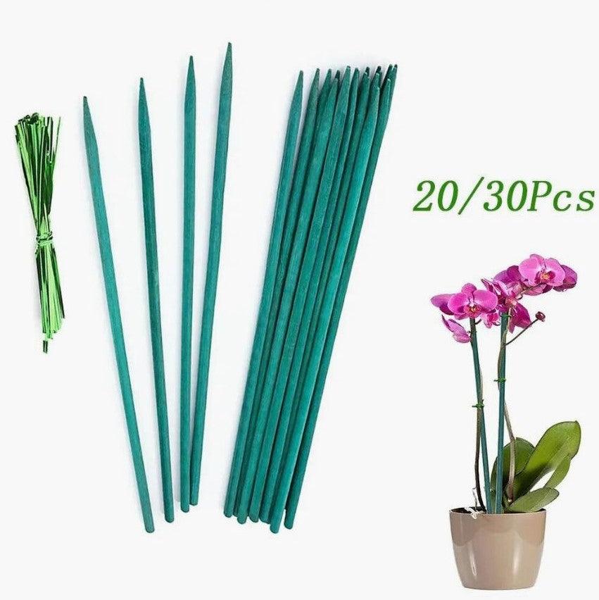 Orchid Support Rod Bamboo Green Stick for Supporting Plant Climbing - Bamboo.